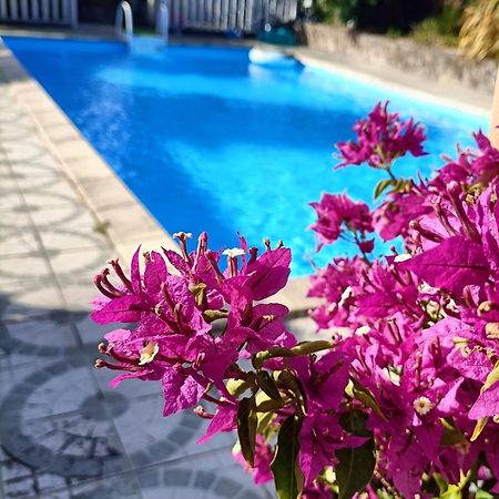 Bed and Breakfast Les Bichettes Mortagne-sur-Sevre Exterior foto