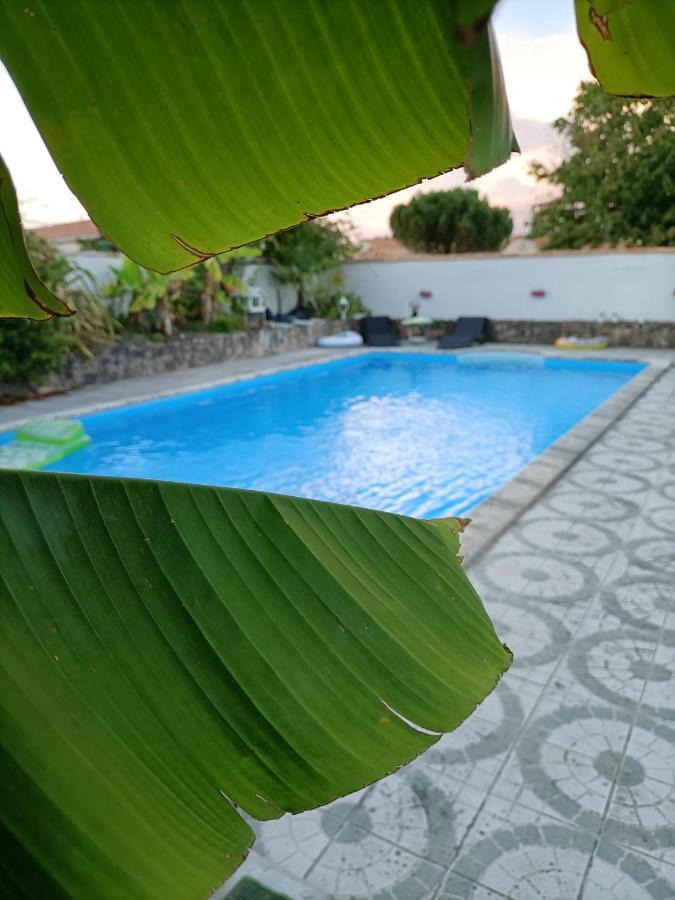 Bed and Breakfast Les Bichettes Mortagne-sur-Sevre Exterior foto