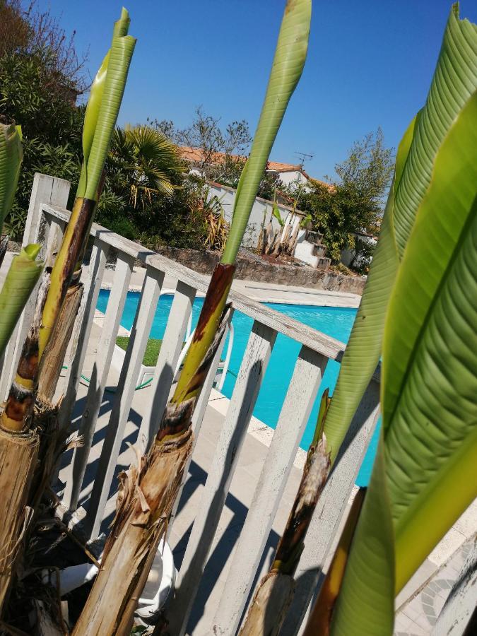 Bed and Breakfast Les Bichettes Mortagne-sur-Sevre Exterior foto