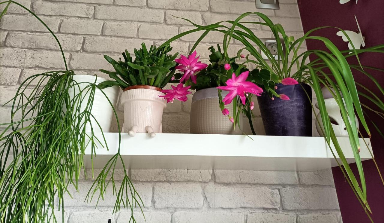 Bed and Breakfast Les Bichettes Mortagne-sur-Sevre Exterior foto