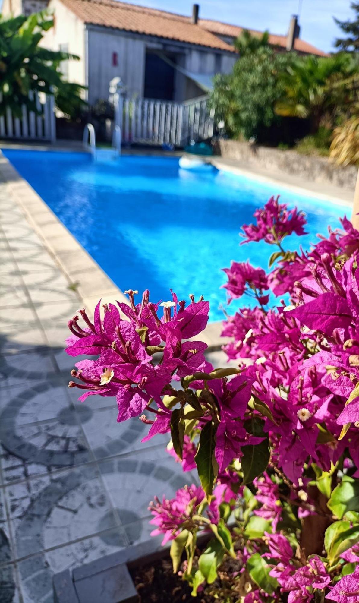Bed and Breakfast Les Bichettes Mortagne-sur-Sevre Exterior foto